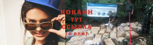 скорость Нея