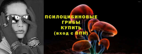 спайс Новодвинск