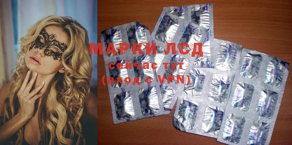 каннабис Новозыбков